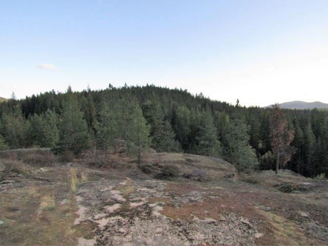 Tbd Baker Lake Road Newport, WA 99156 - Photo 9 of 22 Gallery Image 9