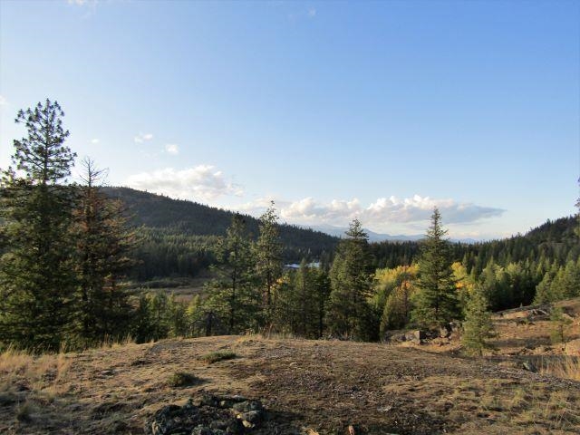 Tbd Baker Lake Road Newport, WA 99156 - Photo 10 of 22 Gallery Image 10