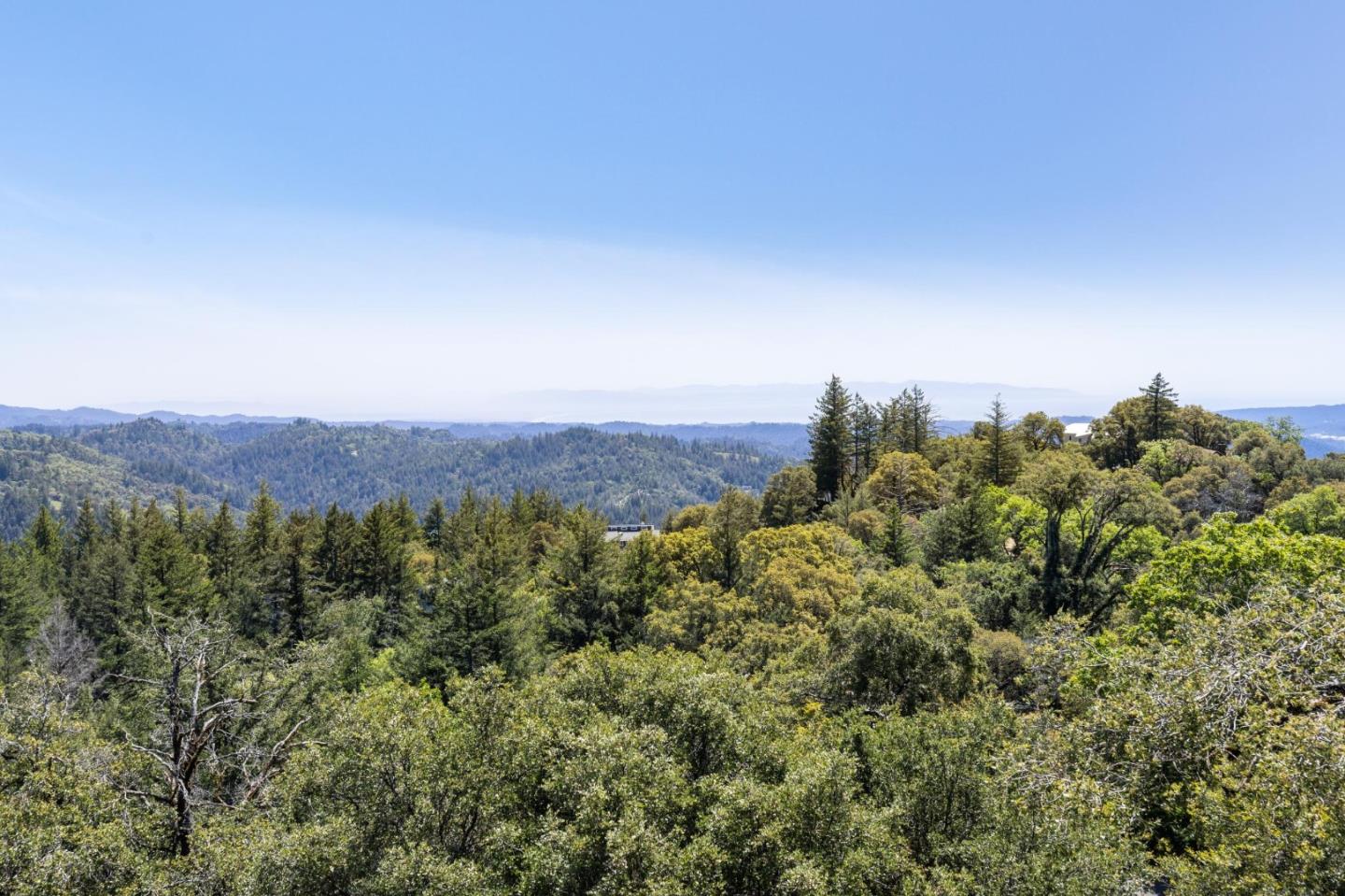 20025 Beatty Ridge Road Los Gatos, CA 95033 - Photo 38 of 58 Gallery Image 38