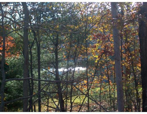 143 Colburn Road Charlton, MA 01507 - Photo 3 of 27 a view of tree