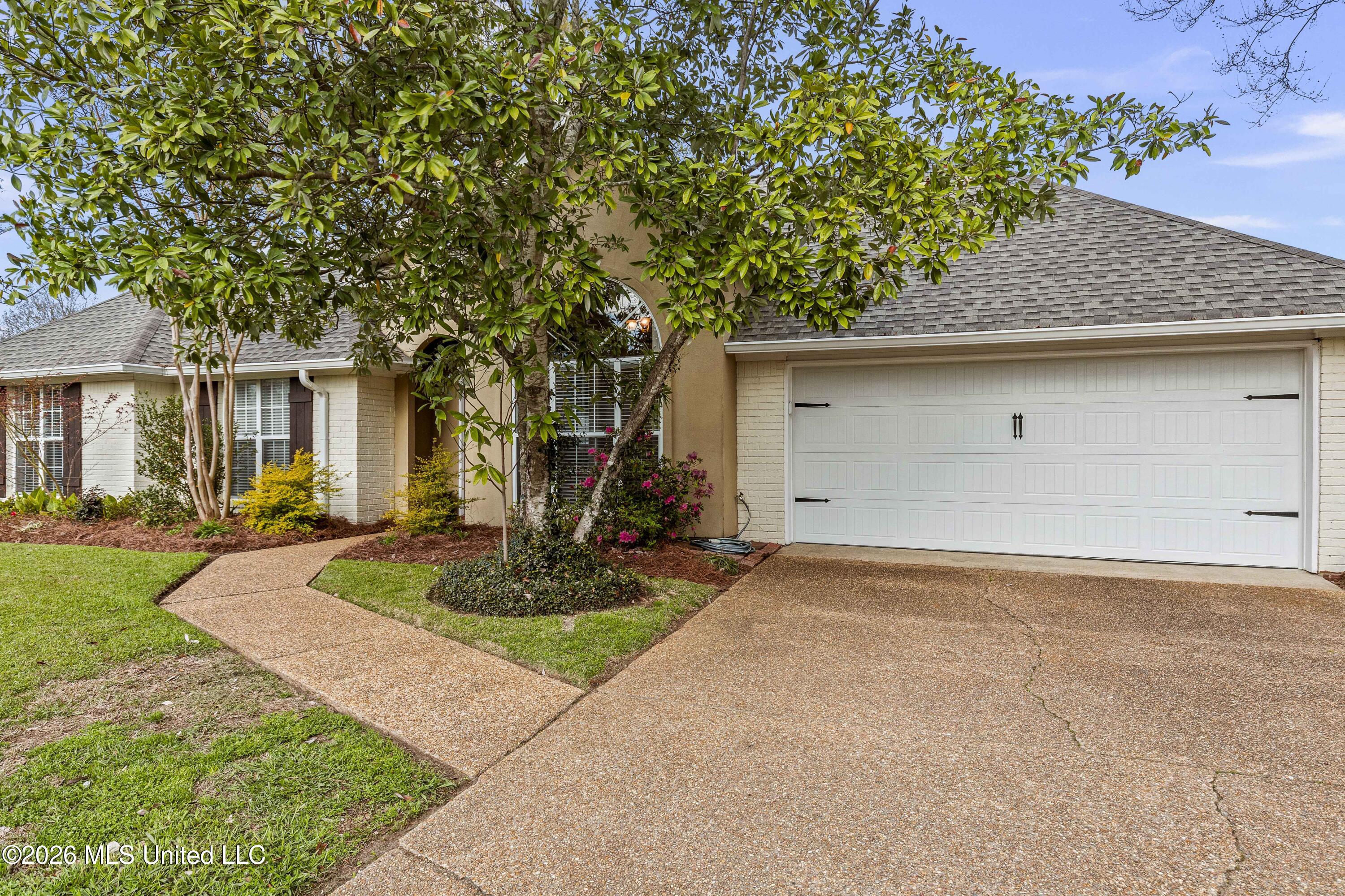 343 Avalon Way Brandon, MS 39047 - Photo 2 of 56 343 Avalon-4