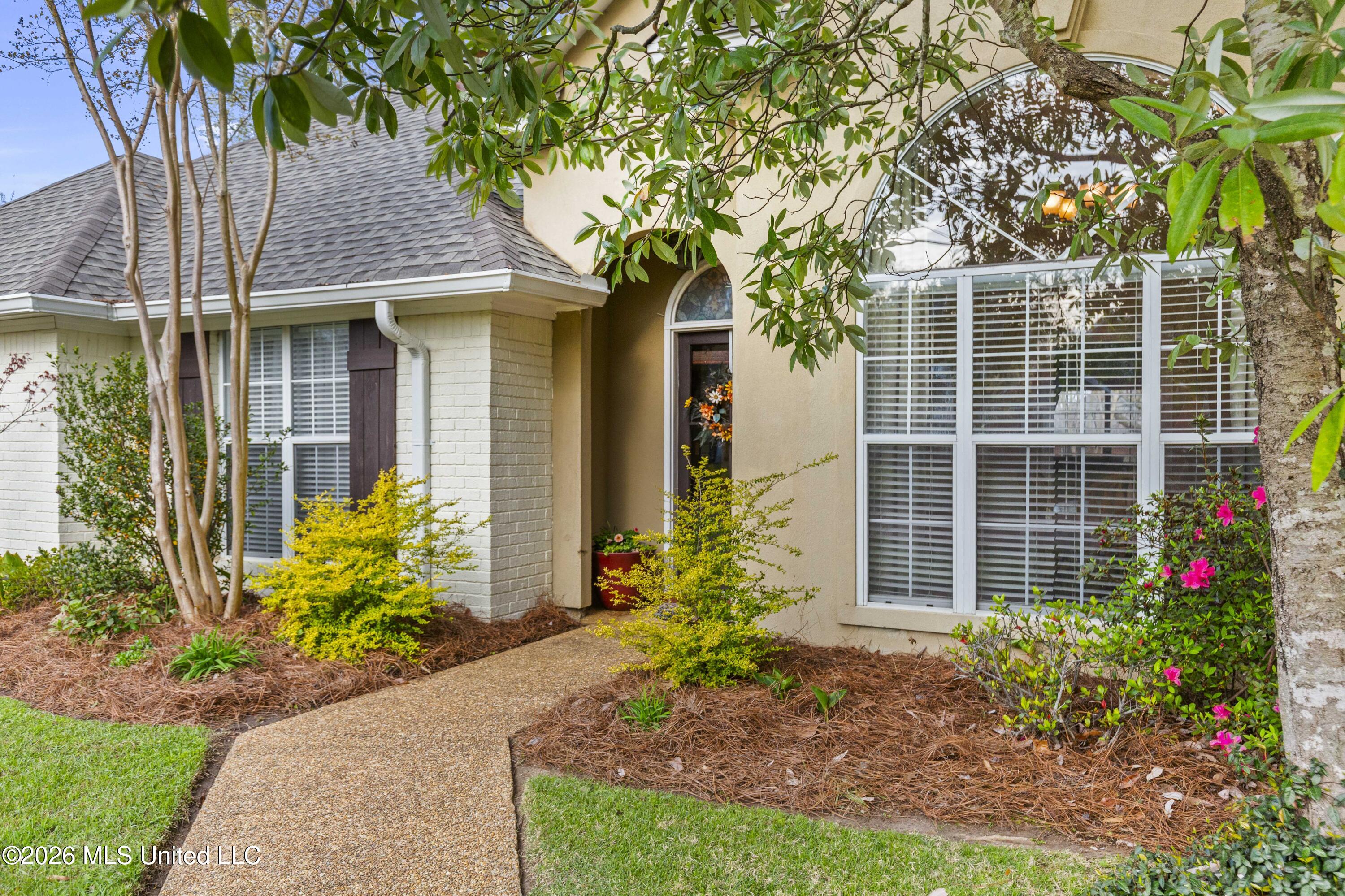 343 Avalon Way Brandon, MS 39047 - Photo 3 of 56 343 Avalon-5