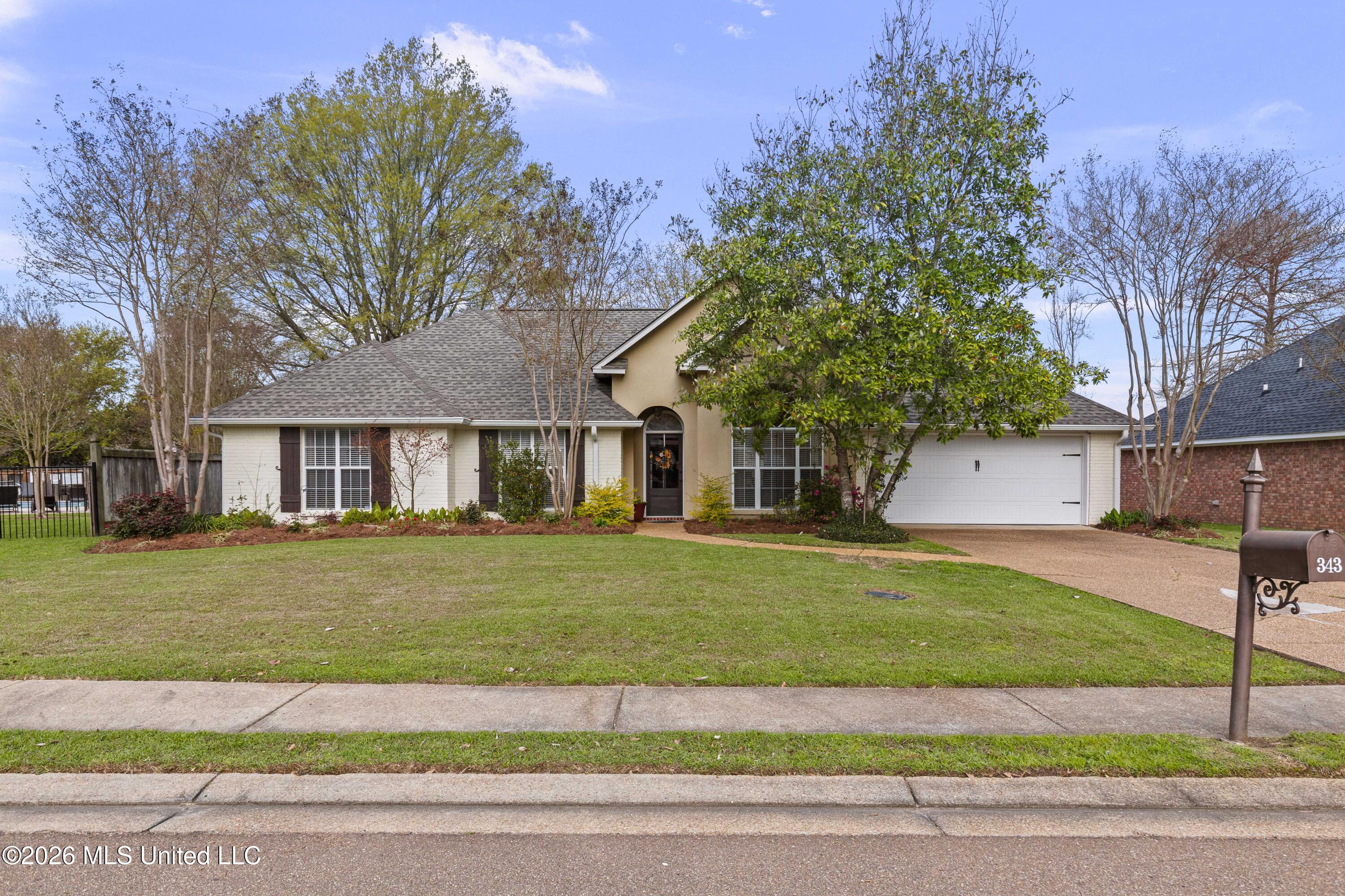 343 Avalon Way Brandon, MS 39047 - Photo 5 of 56 343 Avalon-1