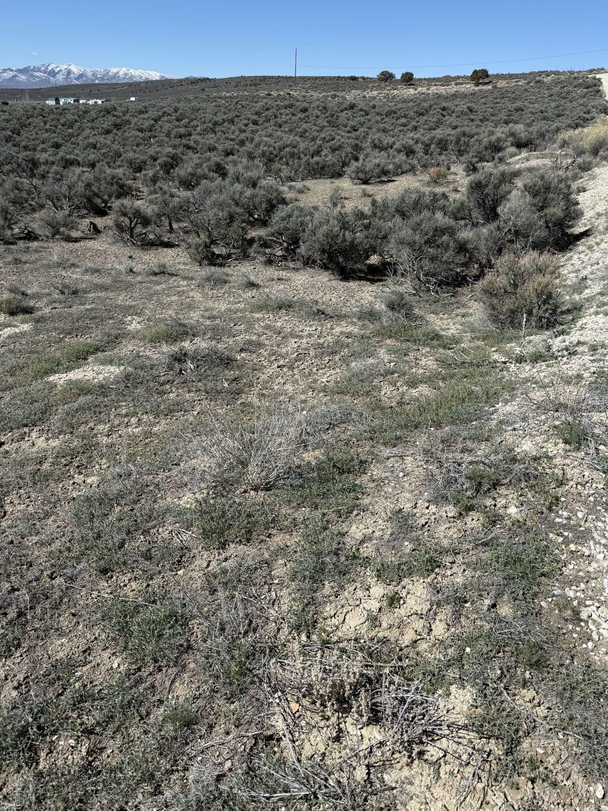 Beauregard Ave Spring Creek Spring Creek, NV 89815 - Photo 4 of 8