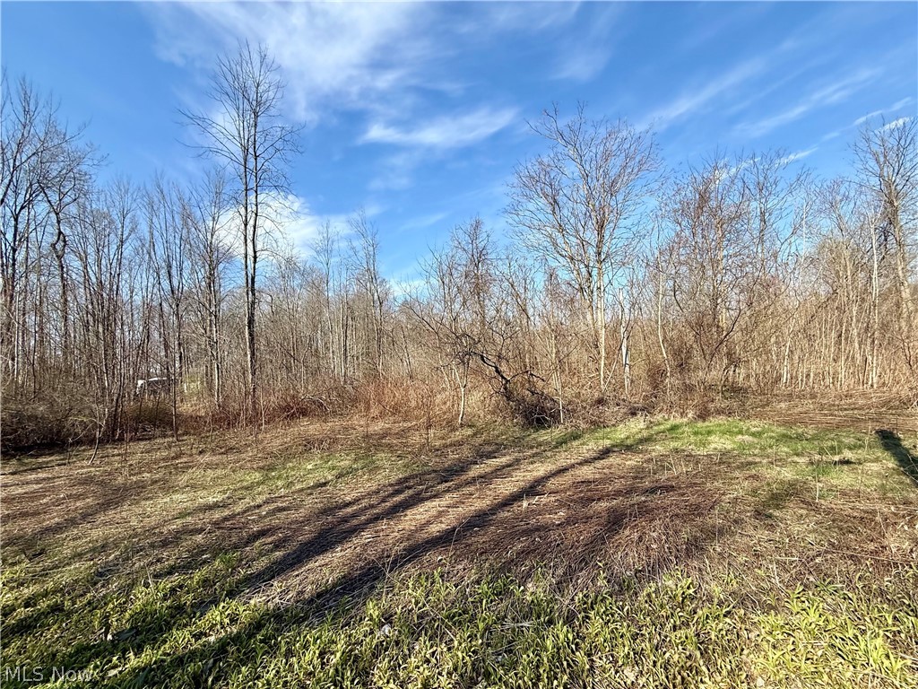 515 Middle Road Conneaut, OH 44030 - Photo 10 of 15