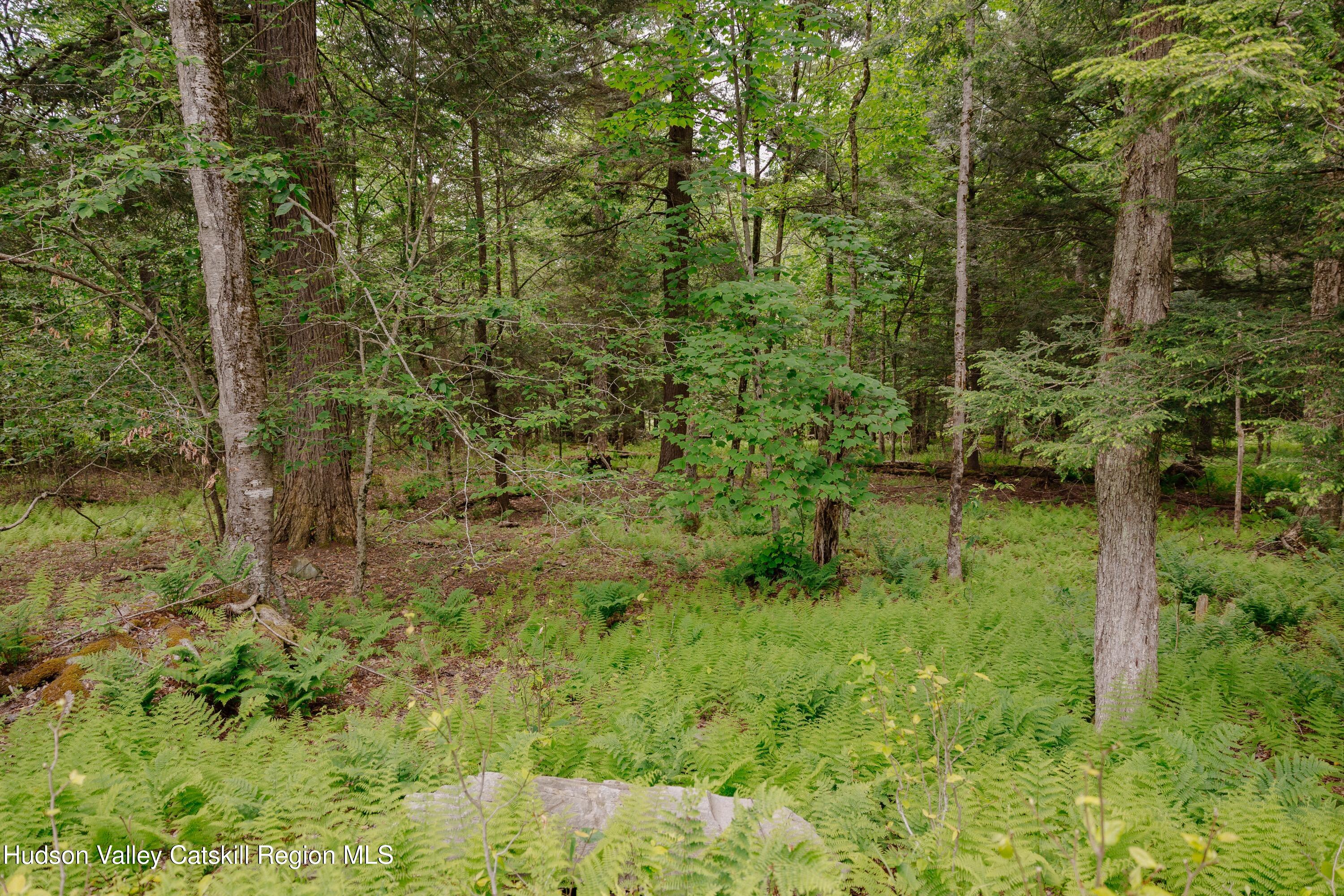 Tbd Church Lake Road Livingston Manor, NY 12758 - Photo 20 of 33 shandelee-woods-thatupstateagent-1-20