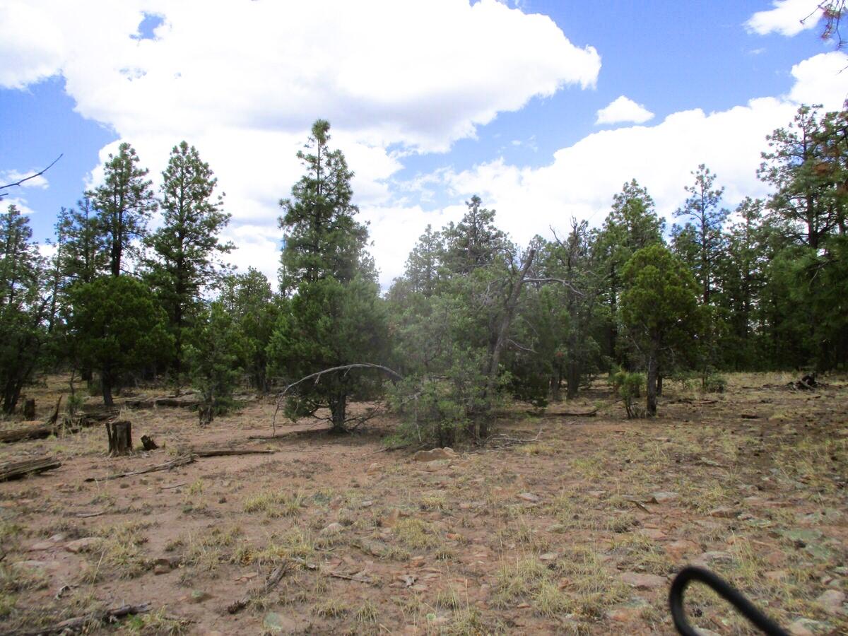 157 Forest Road Ramah, NM 87321 - Photo 34 of 71 Gallery Image 34