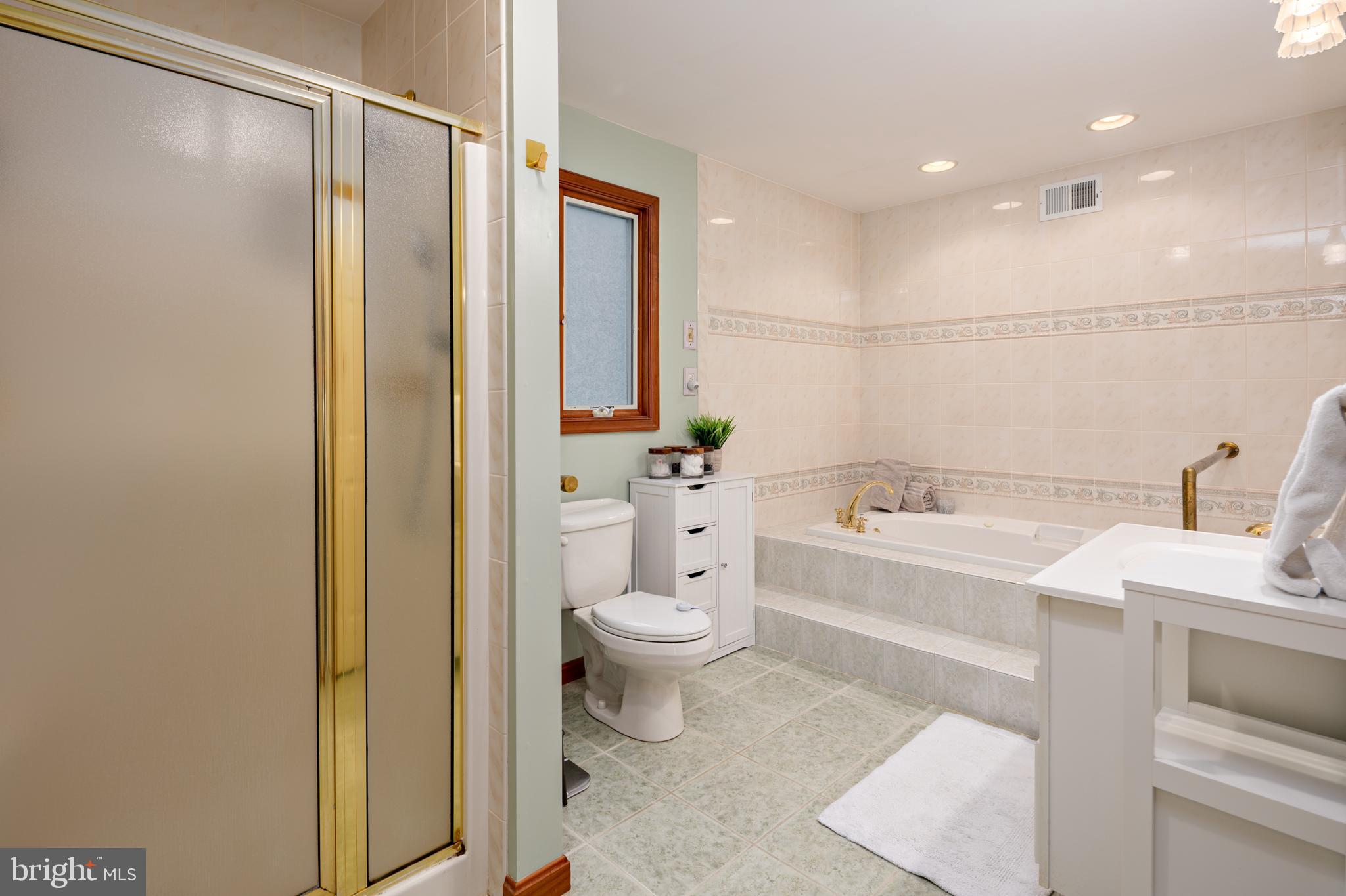 15902 Trenton Road Upperco, MD 21155 - Photo 33 of 57 a bathroom with a sink a toilet and shower
