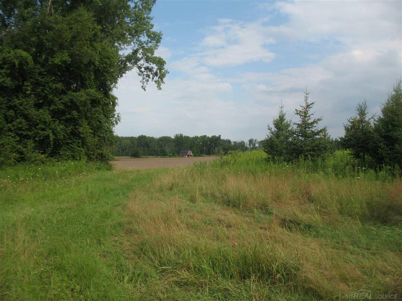 375 Charleston Road Ubly, MI 48475 - Photo 59 of 67