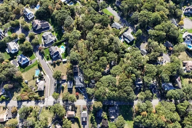 an aerial view of residential houses with outdoor space and trees