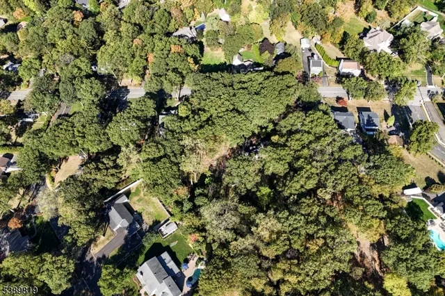 a view of a plants of yard