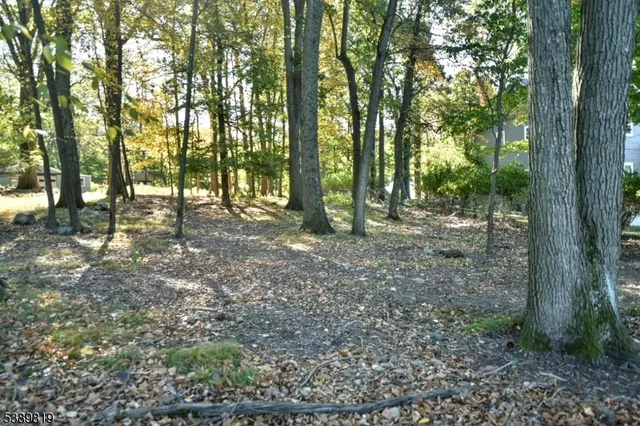 a view of outdoor space with trees