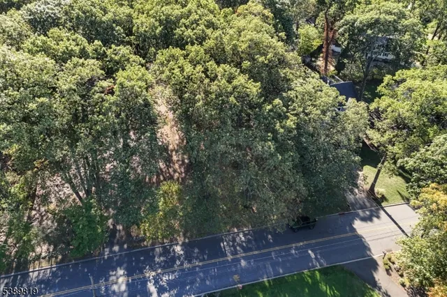 a view of backyard with green space
