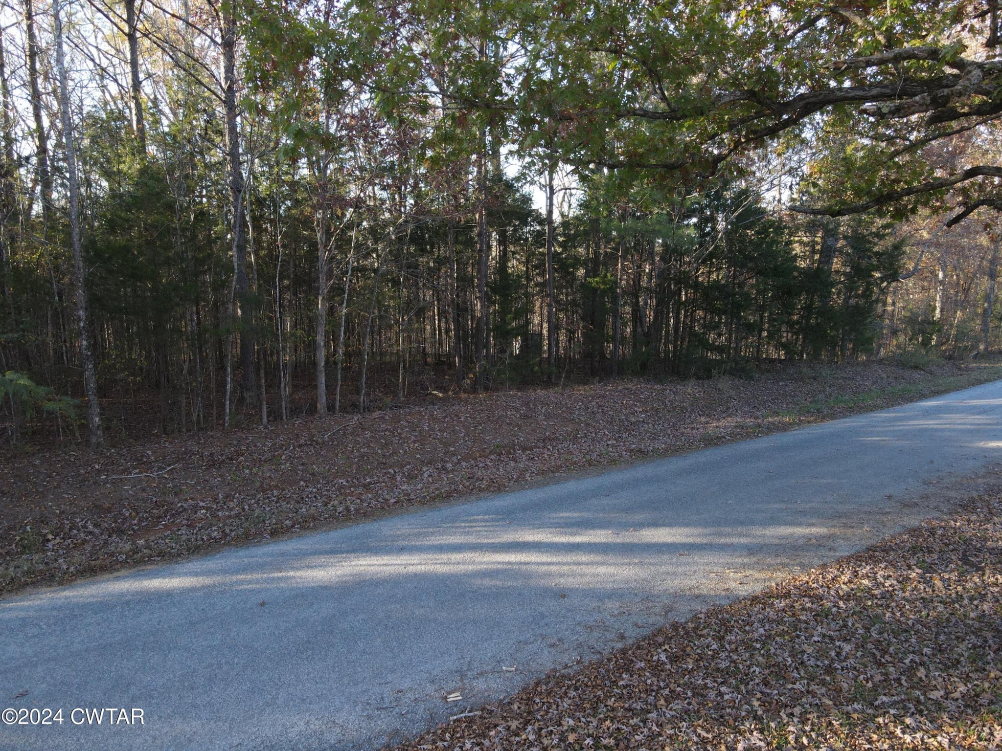 0 Smith Chapel Road Decaturville, TN 38329 - Photo 1 of 4 Gallery Image 1