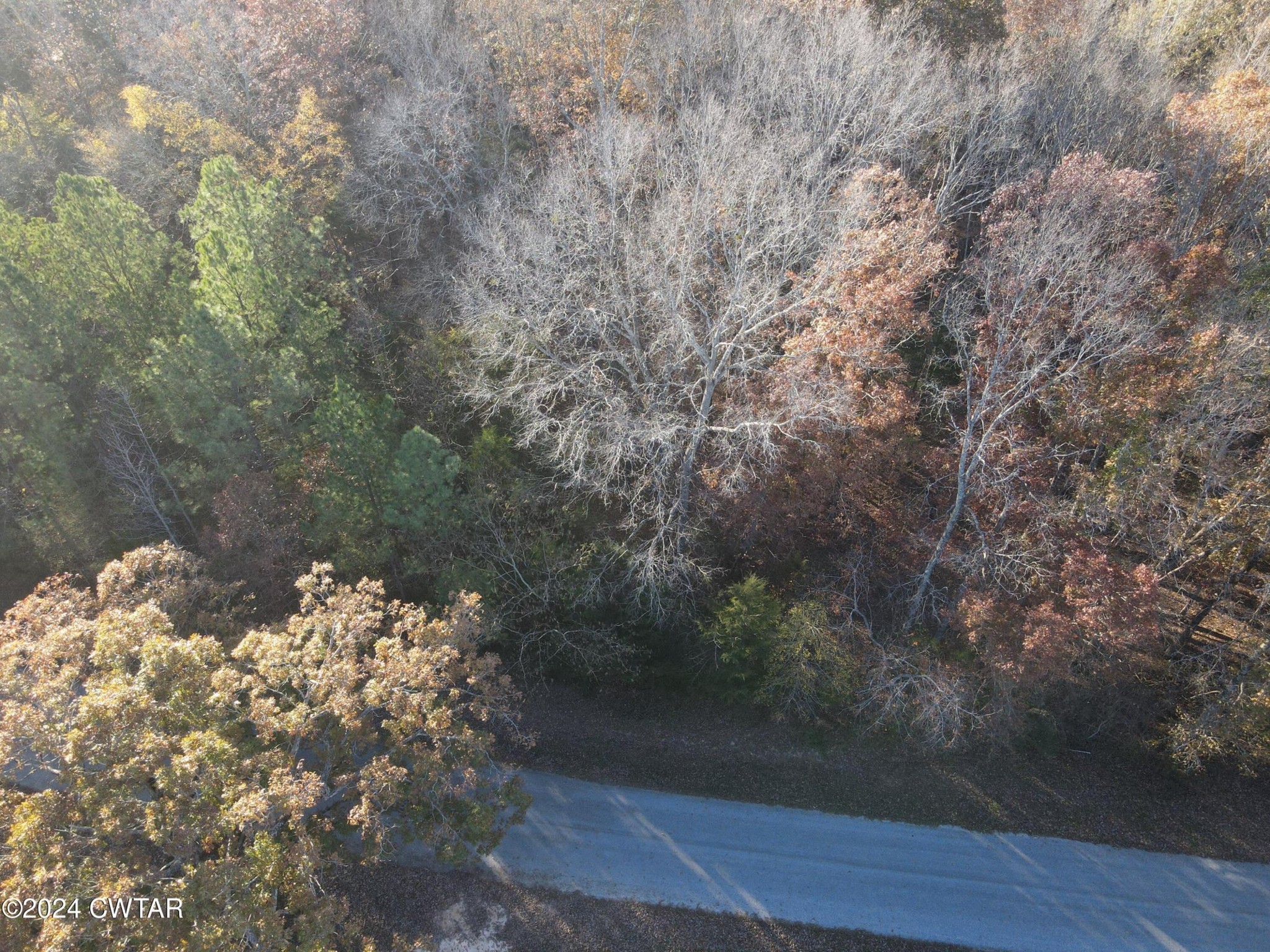 0 Smith Chapel Road Decaturville, TN 38329 - Photo 2 of 4 Gallery Image 2