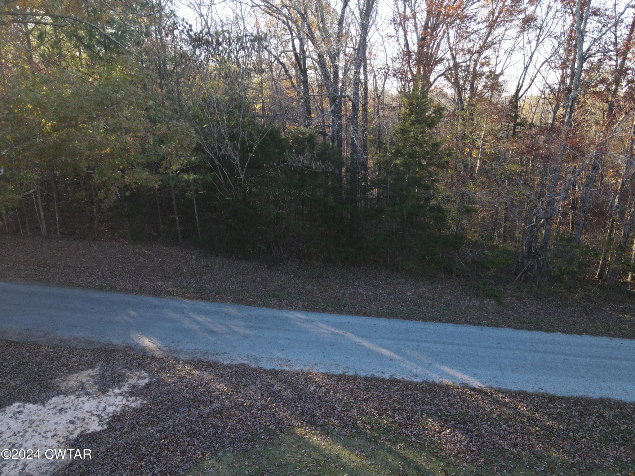0 Smith Chapel Road Decaturville, TN 38329 - Photo 3 of 4 Gallery Image 3