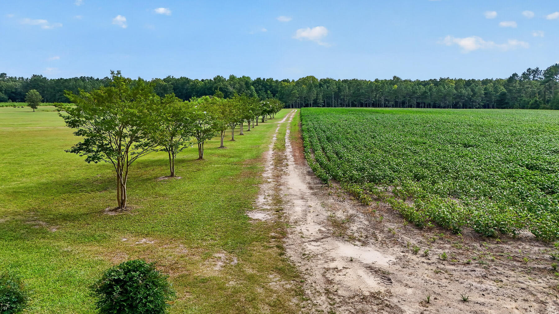 703 Bay Road Rowesville, SC 29133 - Photo 103 of 112 HU-221