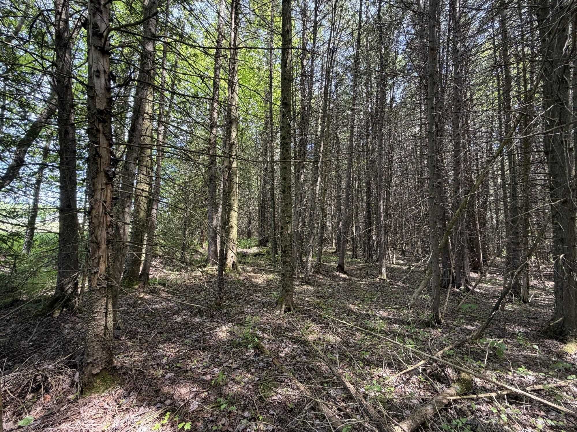2278 Valley Road Holland, VT 05830 - Photo 17 of 17