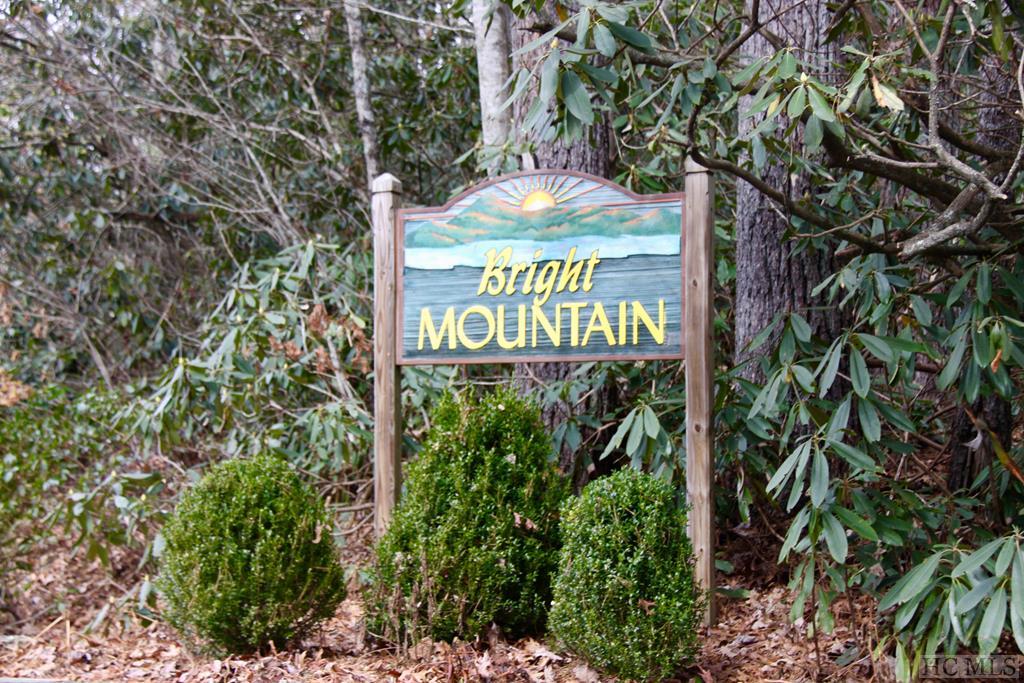 Lot 5 Bright Mountain Road Cullowhee, NC 28723 - Photo 17 of 19 Gallery Image 17