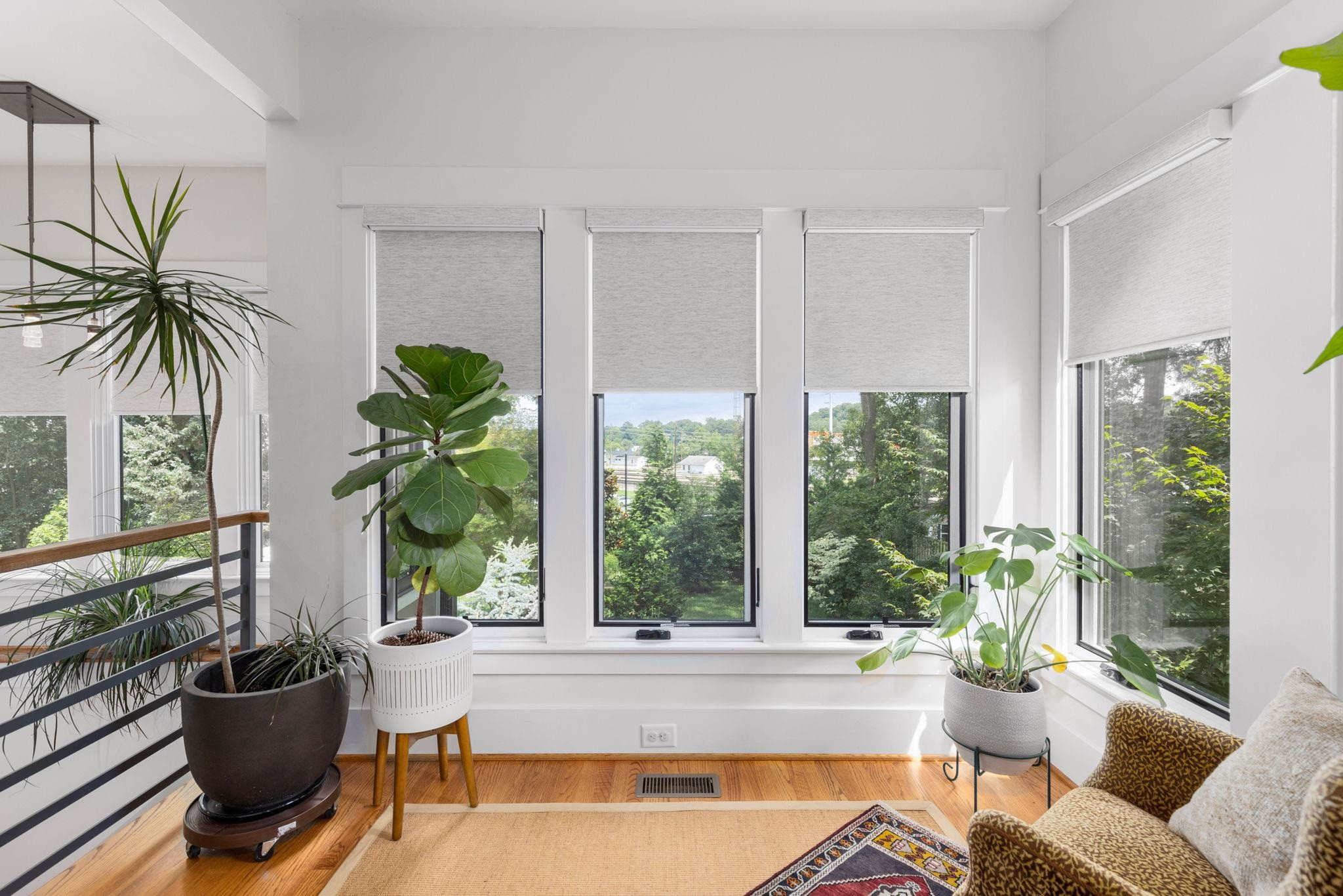 1610 Bickett Boulevard Raleigh, NC 27608 - Photo 26 of 44 a living room with furniture potted plant and a windows
