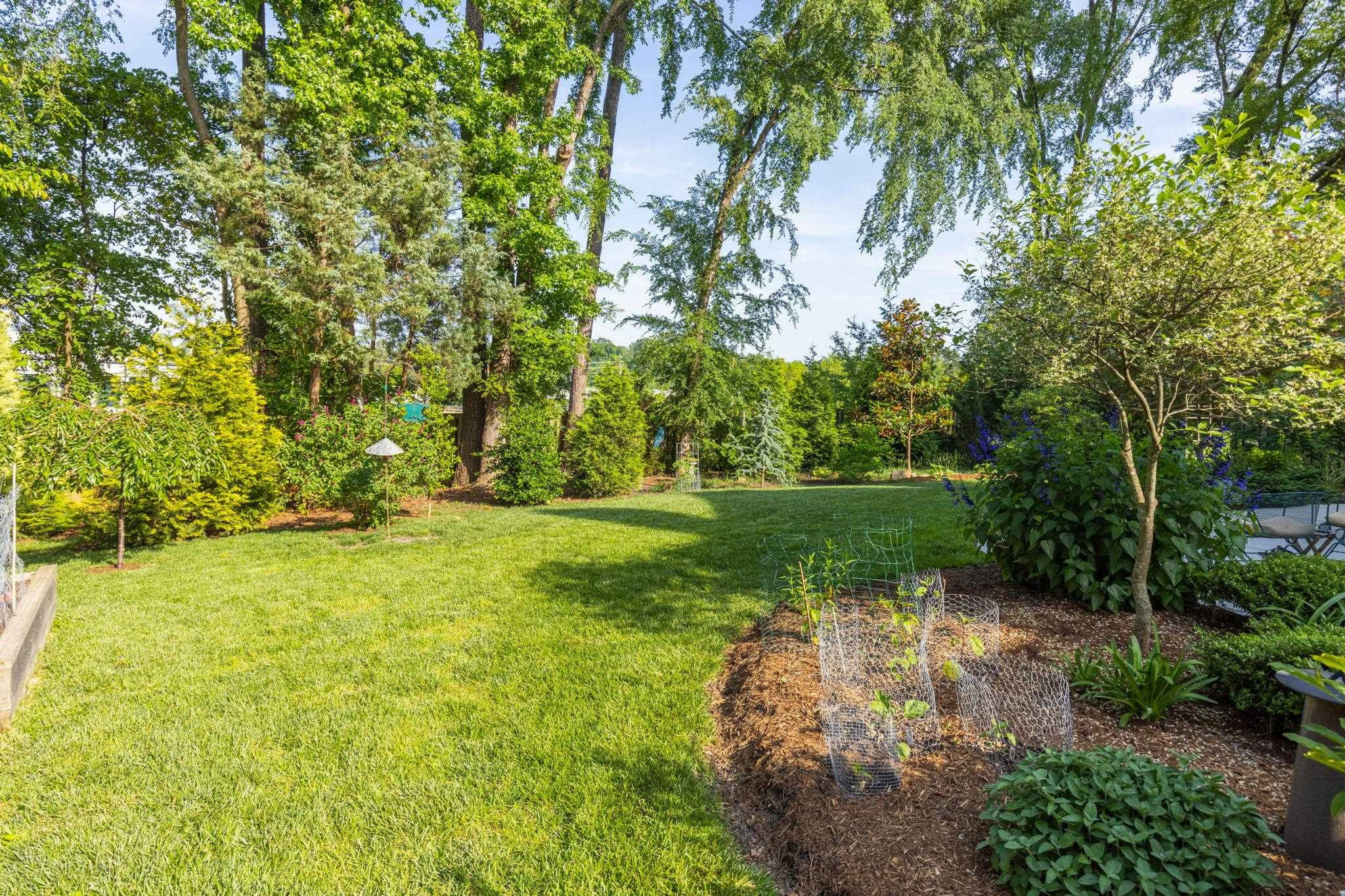 1610 Bickett Boulevard Raleigh, NC 27608 - Photo 4 of 44 a view of a garden with large trees