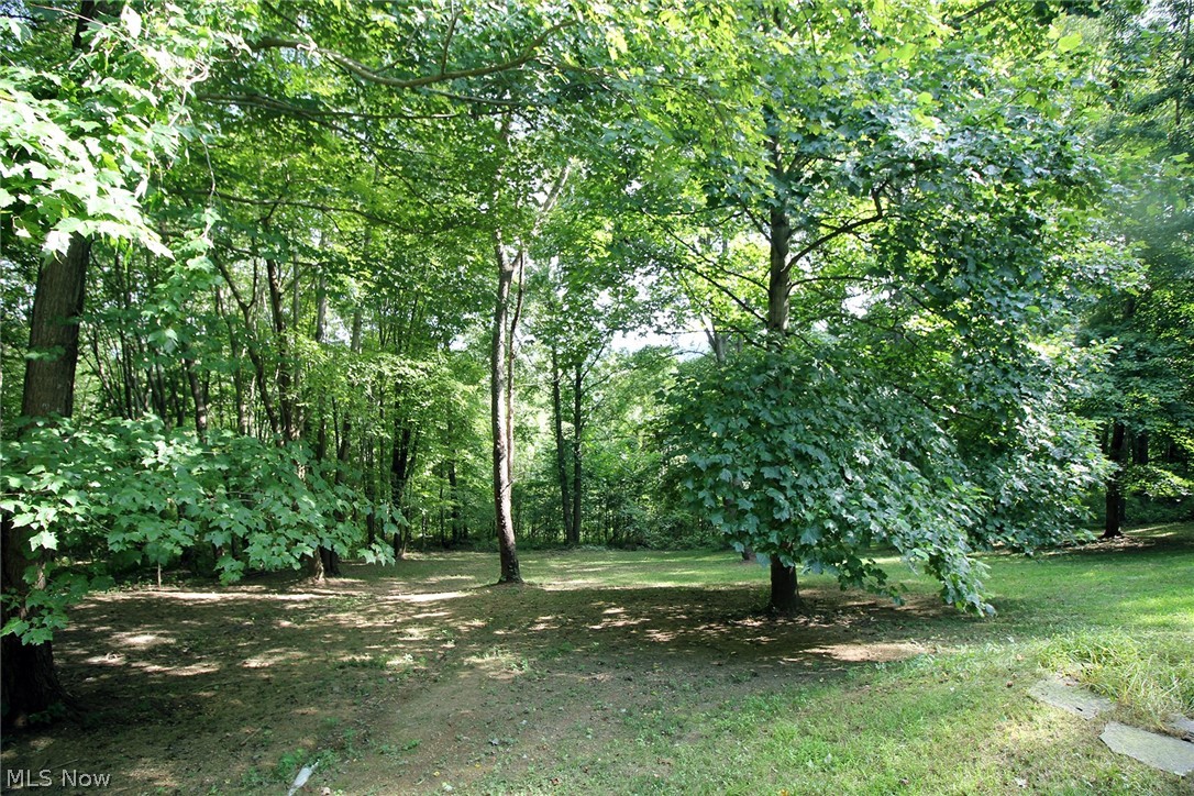4061 Tabor Ridge Road Northeast Mineral City, OH 44656 - Photo 6 of 31 Gallery Image 6