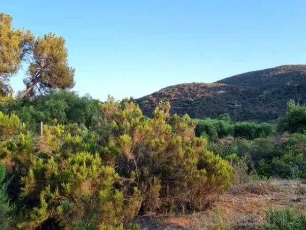 $2,950,000 | 8209 Mesa Road, Santee, CA 92071
