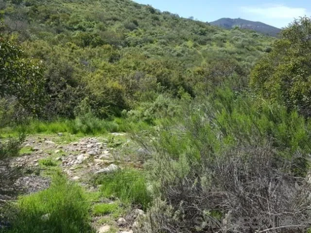 8209 Mesa Road Santee, CA 92071 - Photo 26 of 57