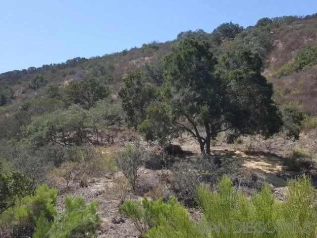 8209 Mesa Road Santee, CA 92071 - Photo 40 of 57