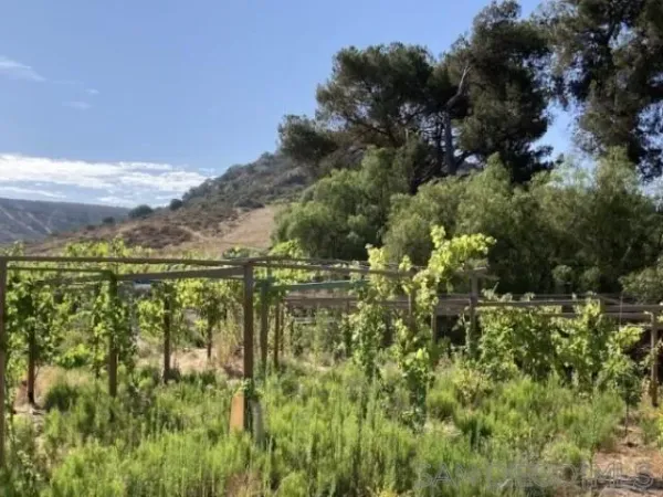 $2,950,000 | 8209 Mesa Road, Santee, CA 92071