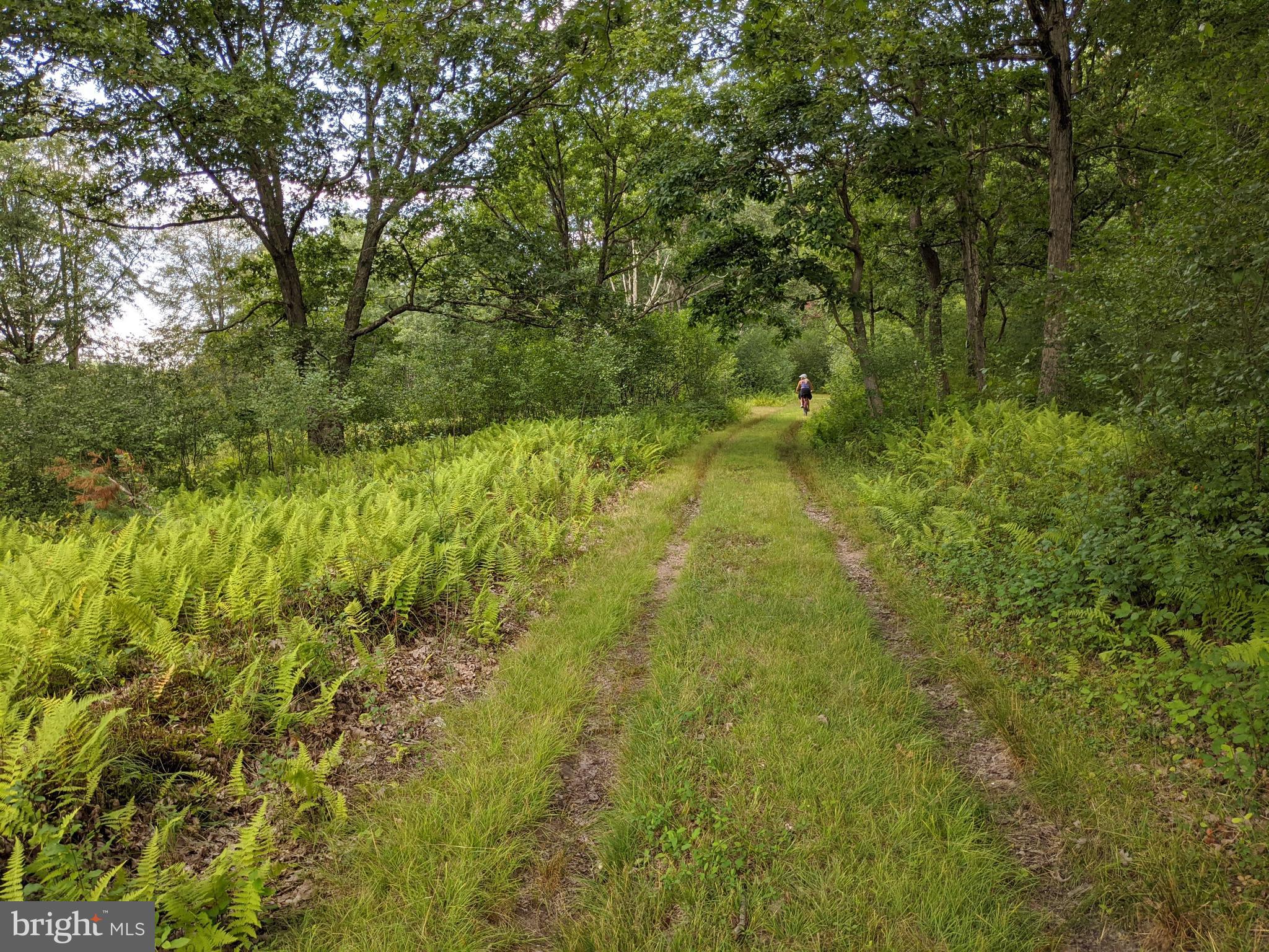 614 Graystones Jeras Road Jim Thorpe, PA 18229 - Photo 10 of 24 a view of a yard