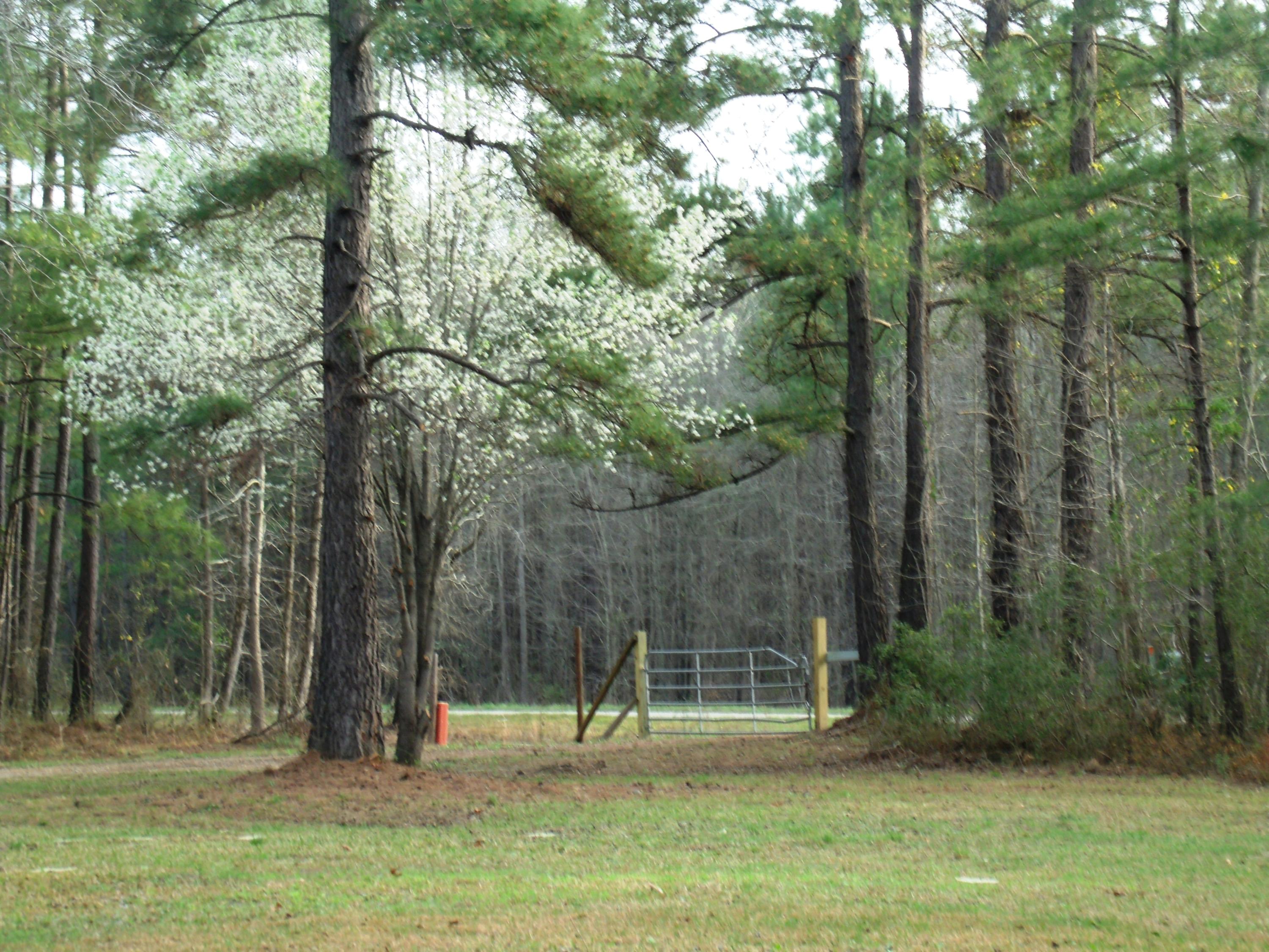 3161 Rehoboth Road Cottageville, SC 29435 - Photo 14 of 24 Front Entrance View