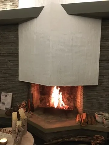 a view of a backyard with plants and large tree