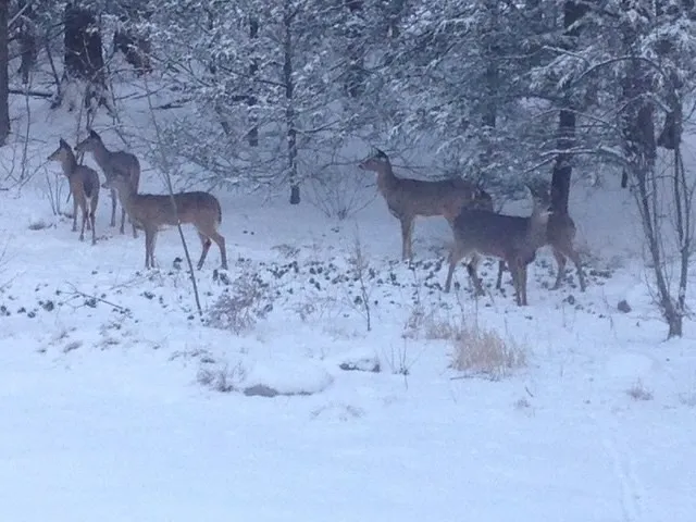 $699,900 | 64 Oak Hill Road, Worcester, MA 01609