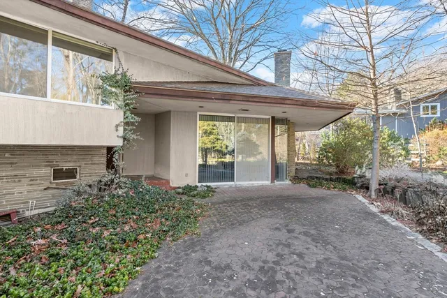 a view of a yard with plants and trees