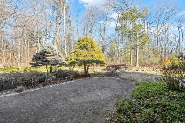 a view of a yard with plants and trees