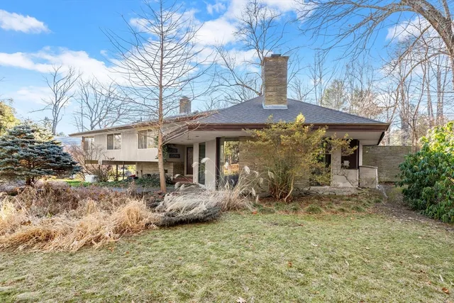 a view of a yard with a tree