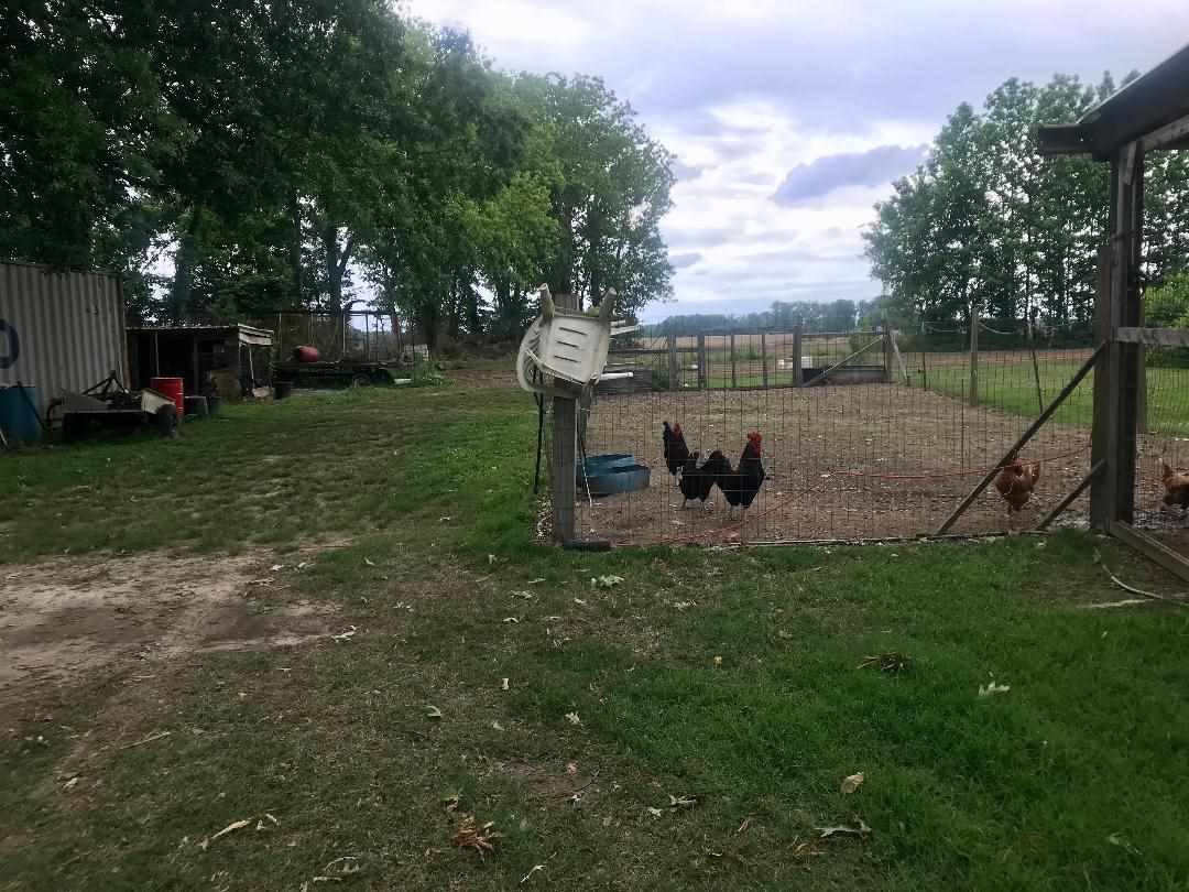 303 Pill Jerk Road Covington, TN 38019 - Photo 24 of 25 With Chicken Coop