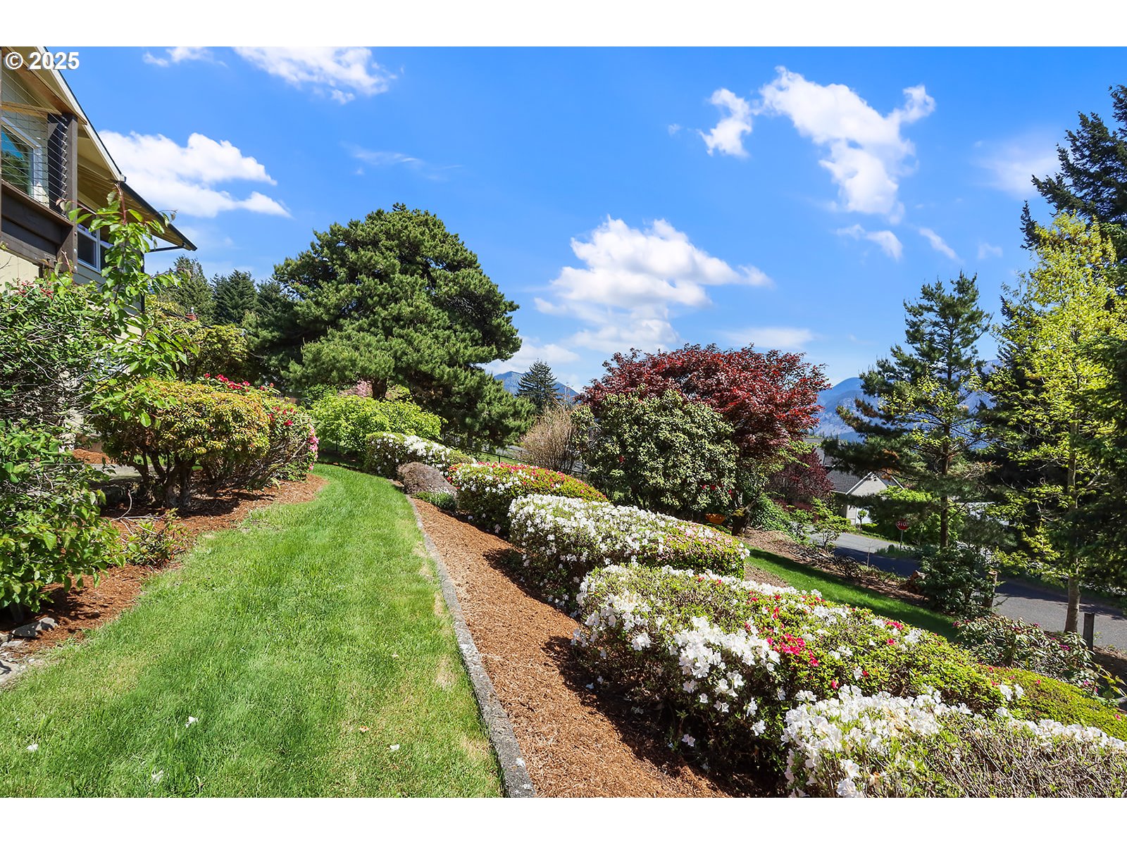 101 Allen Street Carson, WA 98610 - Photo 30 of 48 a view of a yard