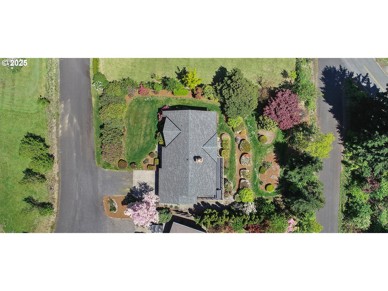 101 Allen Street Carson, WA 98610 - Photo 32 of 48 an aerial view of a house with a yard