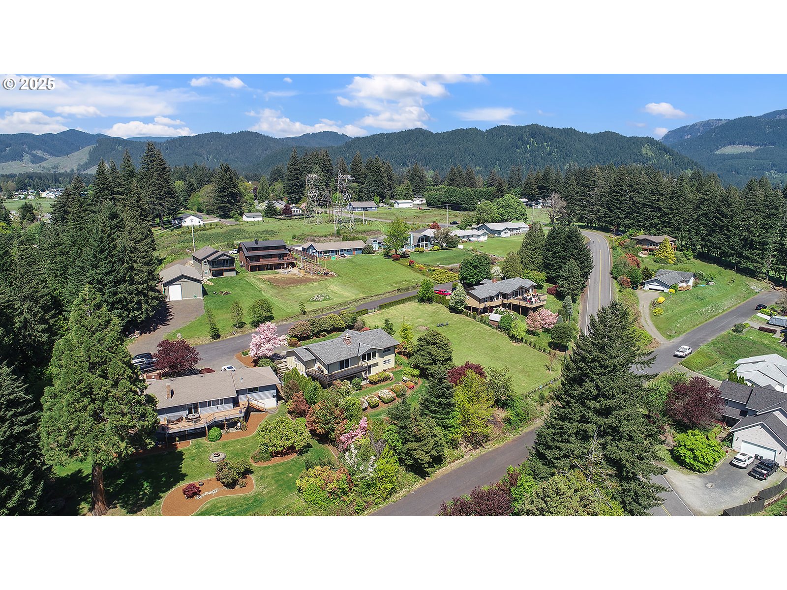 101 Allen Street Carson, WA 98610 - Photo 36 of 48 a view of a city with mountain