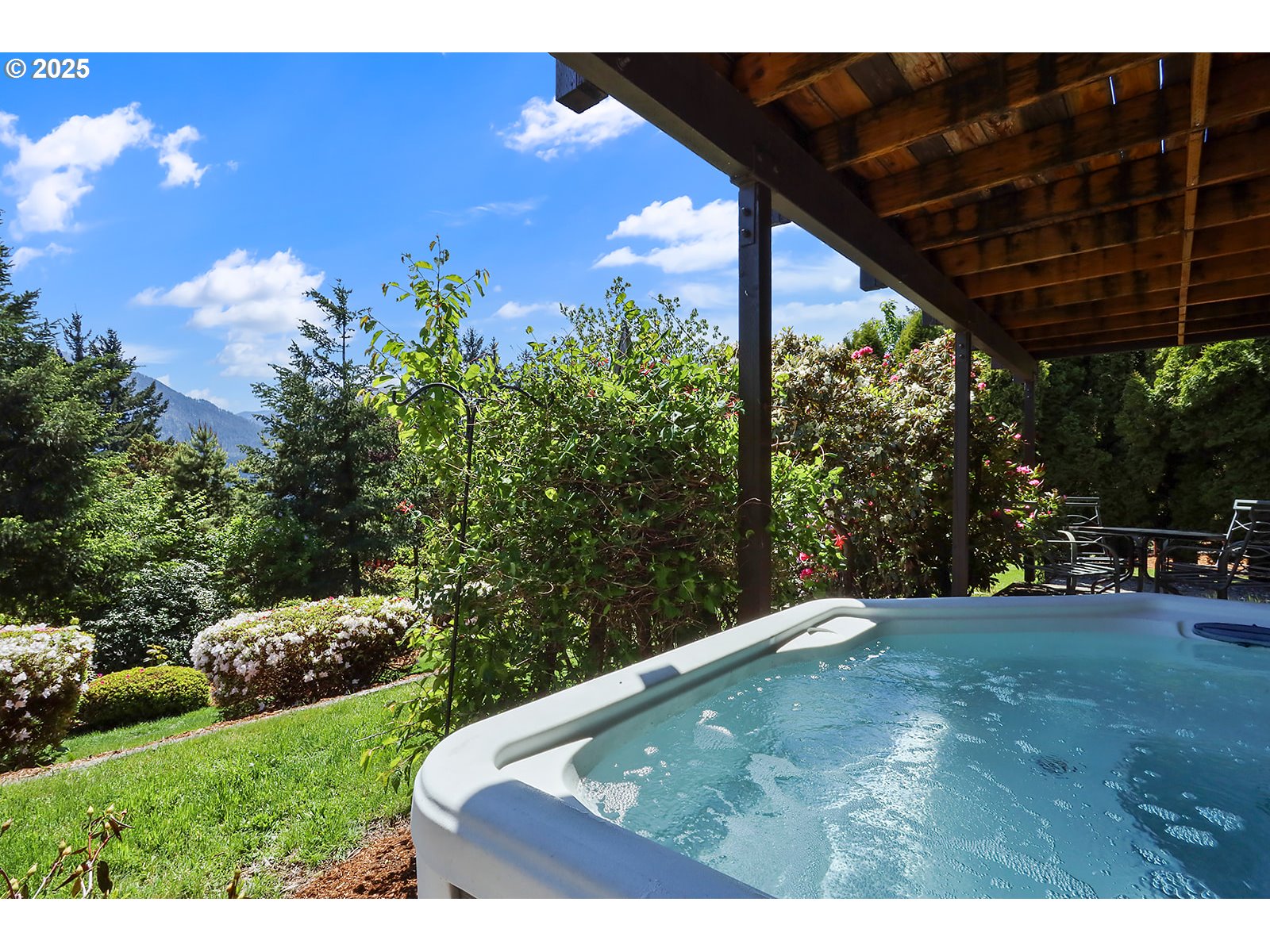 101 Allen Street Carson, WA 98610 - Photo 4 of 48 a view of a backyard