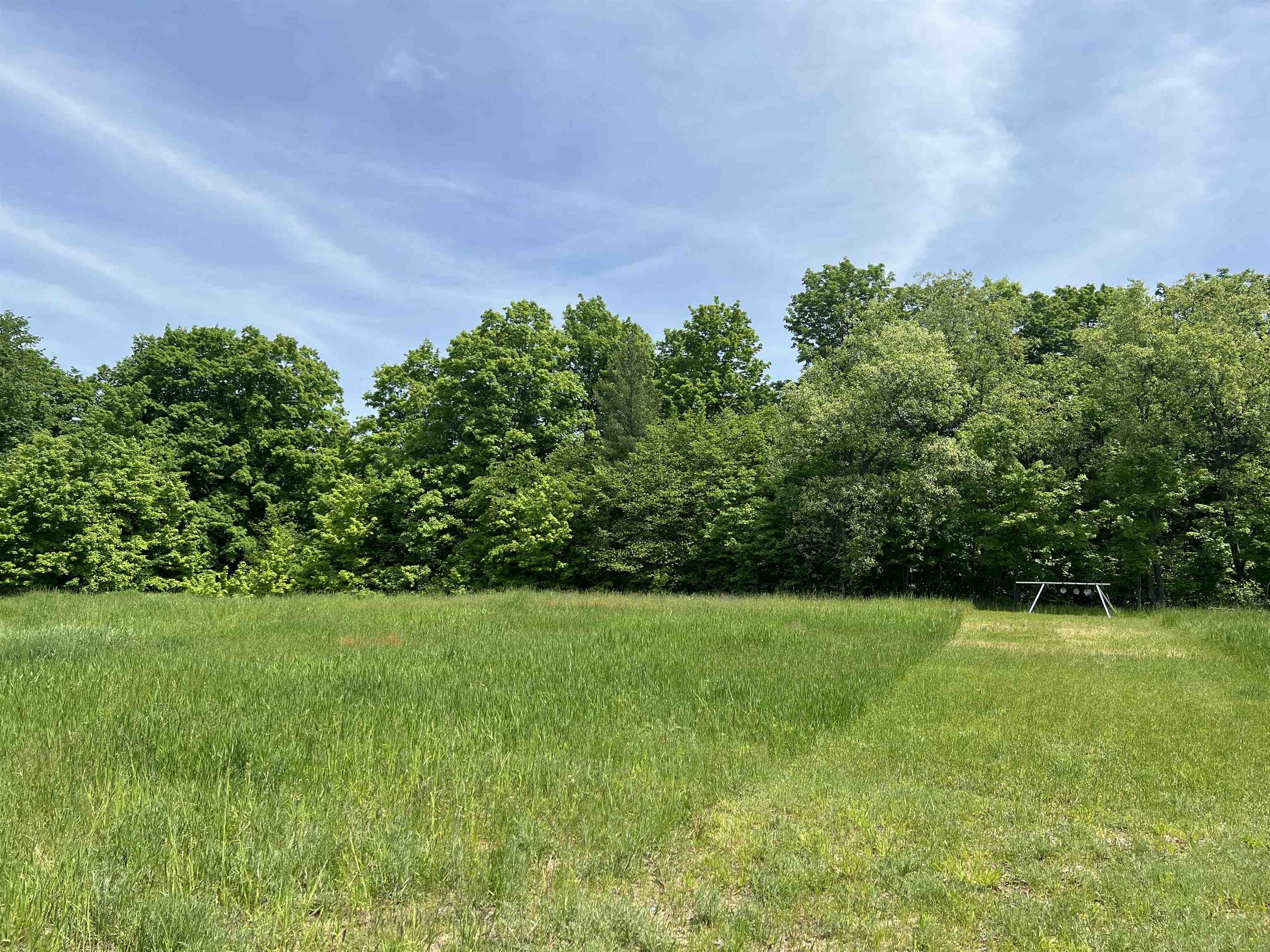 1120 Overhill Road Northwest Alden, MI 49612 - Photo 5 of 35 Gallery Image 5