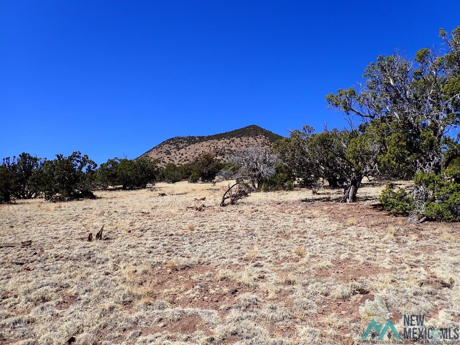 Tanglewood Datil, NM 87821 - Photo 4 of 15 Gallery Image 4