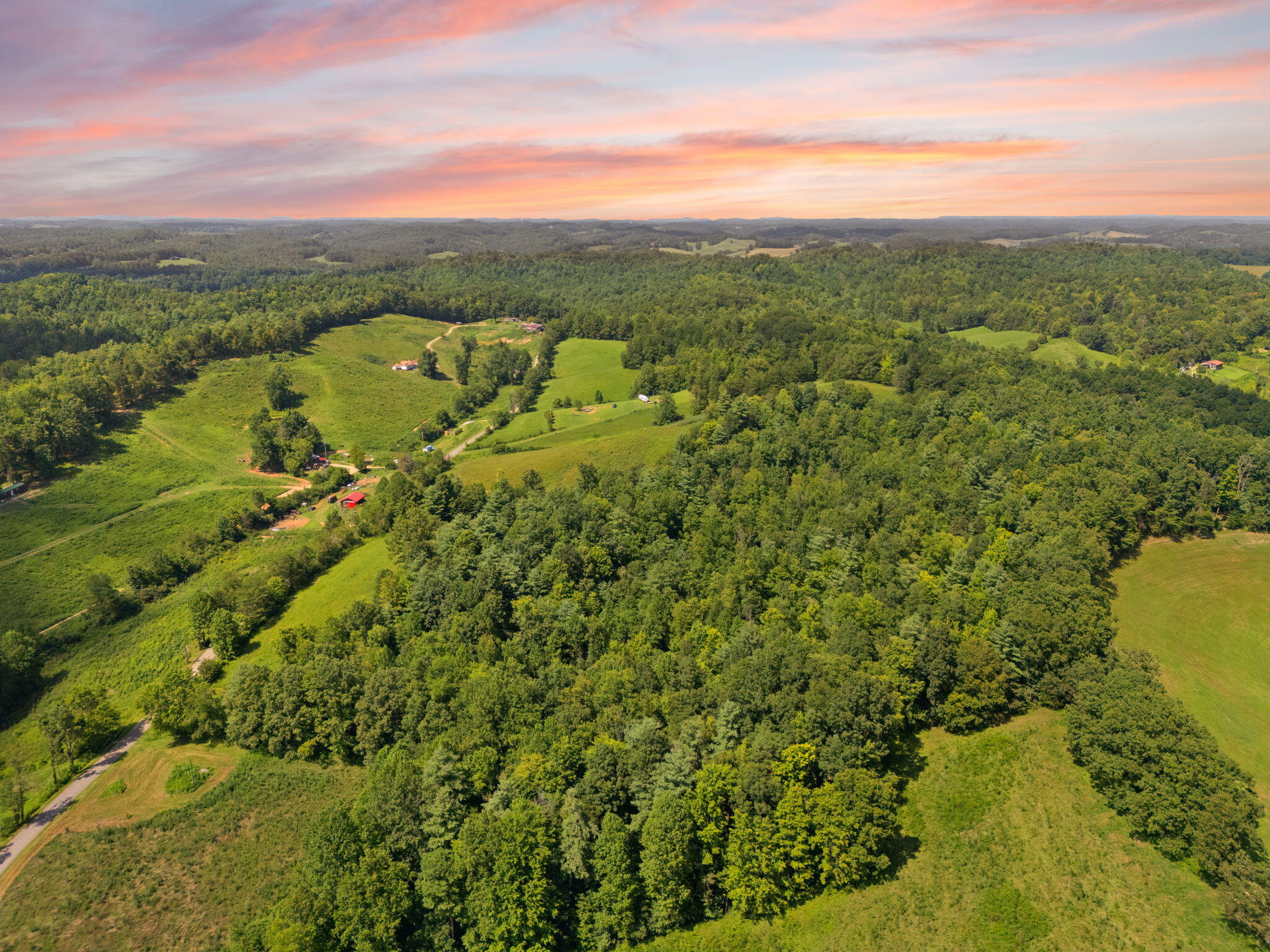 249 Sorrell Road Wellington, KY 40387 - Photo 10 of 30 1-web-or-mls-DJI_20250811152854_0261_D c