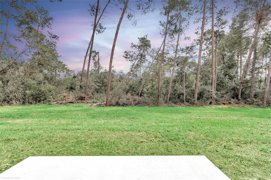 3398 Southwest 165th Loop Ocala, FL 34473 - Photo 40 of 40