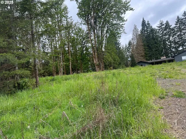 a view of outdoor space with green field and trees all around