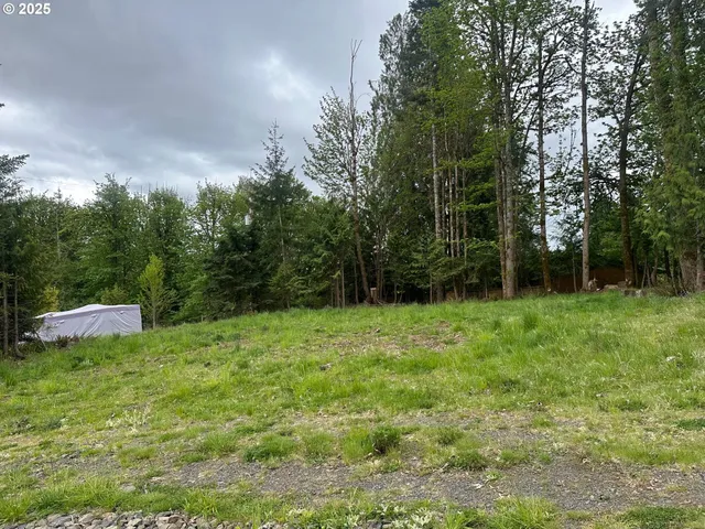 a view of a backyard