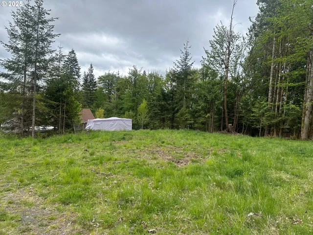 a backyard of a house with lots of green space