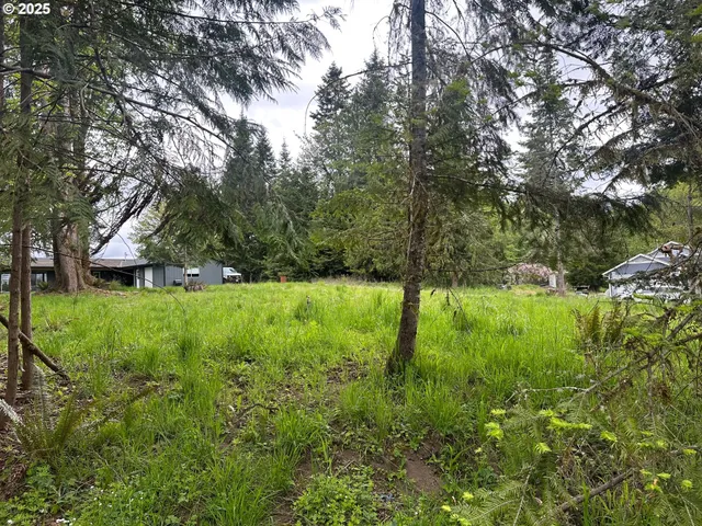 a view of outdoor space and yard